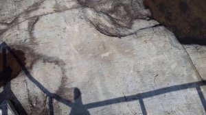 Беломорские петроглифы путь домой