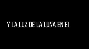 Rodrigo Amarante (Tuyo) Lyrics Edit