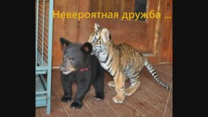 107 Eduard Volchek - From Souvenirs to Sourvenirs