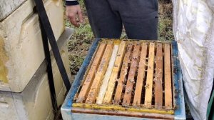 На пасеке у пчеловода-кочевника из Дагестана Али Салманова.