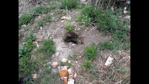 Заброшенные деревни Нижегородской области