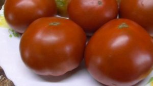 Томатные Гномы. Я от них в восторге! Посмотрите на эту красоту! 20 сортов в одном видео.