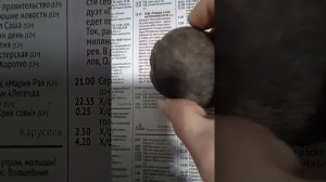 Можно ли заморозить и разморозить свежую свеклу целиком?