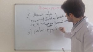 Учение о стрессе Г. Селье.mp4