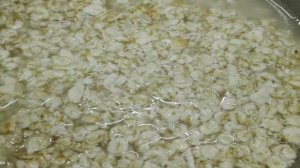 Овсяная каша с маком, яблоком и медом