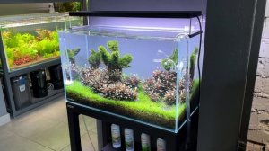 Подробно об этом аквариуме / Бактериальная пленка - как избавиться / Выбор внешнего фильтра