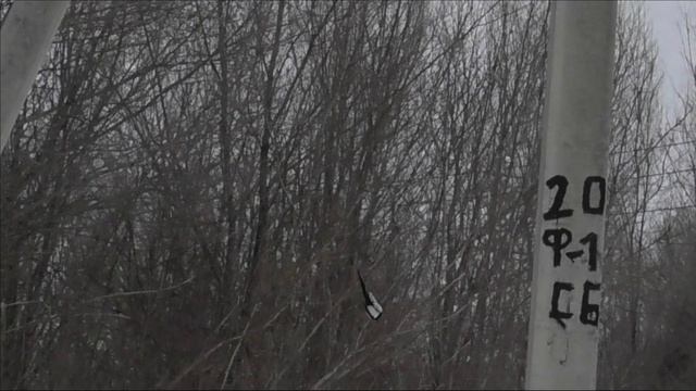 Crow Hunting mart 22 / Охота на ворон.