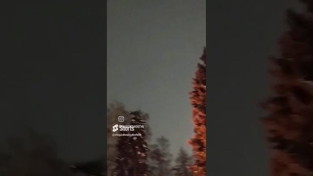 А чего хотите вы #SHORTS