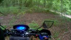 По лесу на мотоцикле Motoland Blazer 250 эндуро