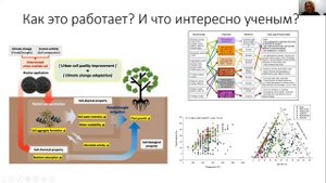 Биочар АКА Биоуголь. Не древесный уголь.