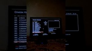 При работе с модулем триколор  gs-9300 дает фору skyway light2