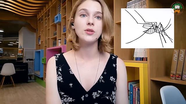 10 фактов об изобретениях природы