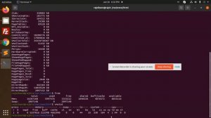 How can you check the memory status in Linux | How to Monitor RAM Usage on Linux