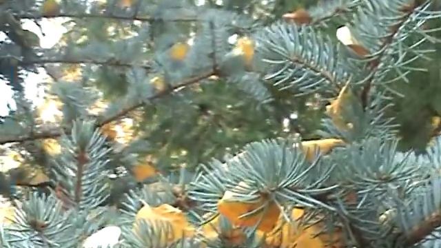 Красивая чувашская песня. Исполняет Антонова Наталья смотреть онлайн