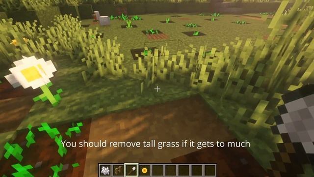 Minecraft | Pumpkin Patch - Pumpkin Field смотреть онлайн