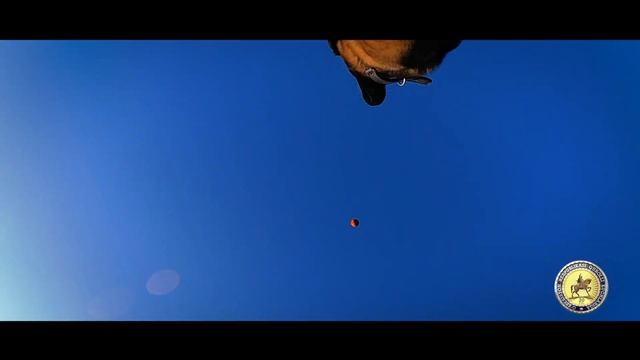 Oʻzbekiston Respublikasi Qurolli Kuchlari tashkil etilganligining 30 yilligiga bag`ishlanadi смотреть онлайн