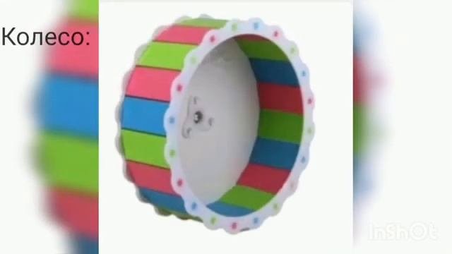 Всё что нужно для содержания ХОМЯКА)??#хомяк#Как содержать?
