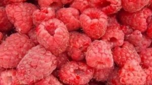 Варенье из МАЛИНЫ. Лучшие рецепты заготовки малины на зиму!