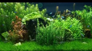 11 часов расслабляющей музыки для сна, снятия стресса, от бессонницы, успокаивающая , для релакса