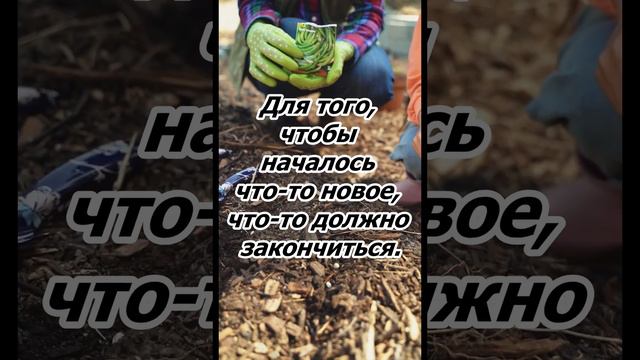 Правила хорошей жизни 026