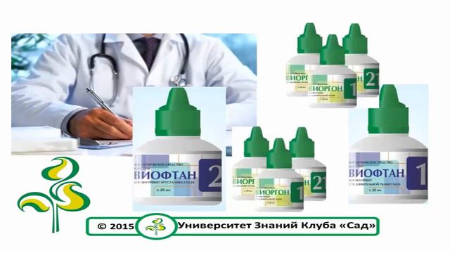 ИМПУЛЬС К ОМОЛОЖЕНИЮ Самая Емкая Презентация САД смотреть онлайн