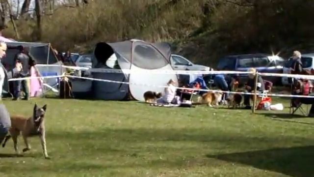 MOV08773 ВЫставка в Добре място.01.05.2013 .Польша Хонда смотреть онлайн