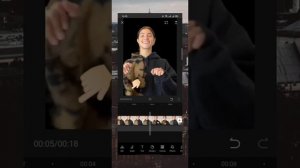 Как изменить фон на видео?||В приложении CapCut||