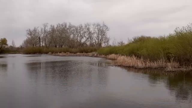 Прогулка по реке Курала. Пешком по России смотреть онлайн