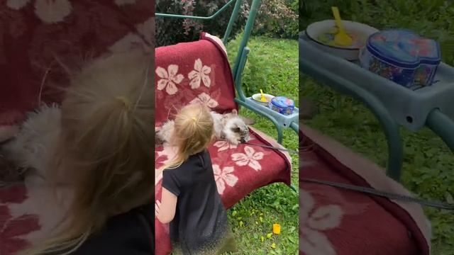 ЗНАКОМТЕСЬ, КОТ ЛЁВА ?#котик #мурмур #мяу #доченька #дети #дочка #малышка #дача #лето2023 #качели