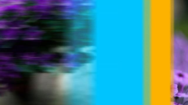 Магазин цветов Мытищи - недорогие букеты к 1 сентября смотреть онлайн