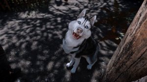 Skyrim Snow Dogs (Husky)