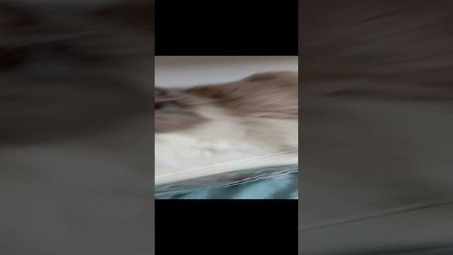 1000006921.mp4