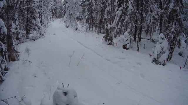 Борьба с волками смотреть онлайн