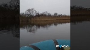 Рыбалка в Ленобласти #1.оз.Химози