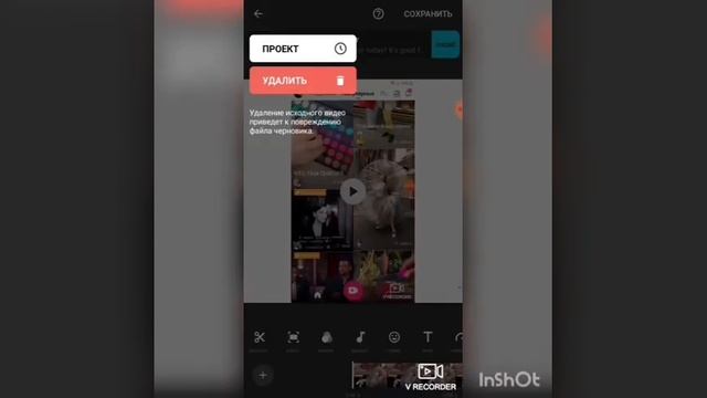 Показываю как скачать видео из лайка без водяного значка смотреть онлайн