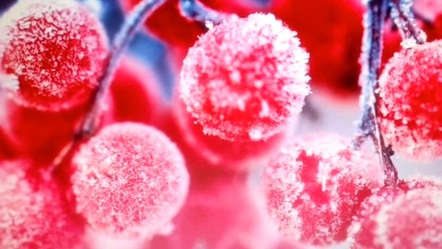 Красивая рождественская песня Воплотилось живое слово. Исполняет А. Кужахметова смотреть онлайн