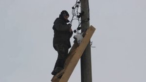 Подключение сип 4 самостоятельно. Каменск-Уральский.Сип-4.Проколы для Сип. Опора Лэп