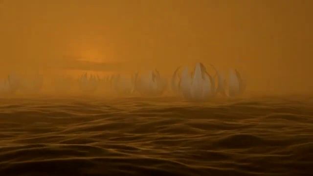 Nymphaeaceae 1.2012 смотреть онлайн