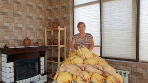 Бройлеры как бизнес// придаем товарный вид курам и тукам