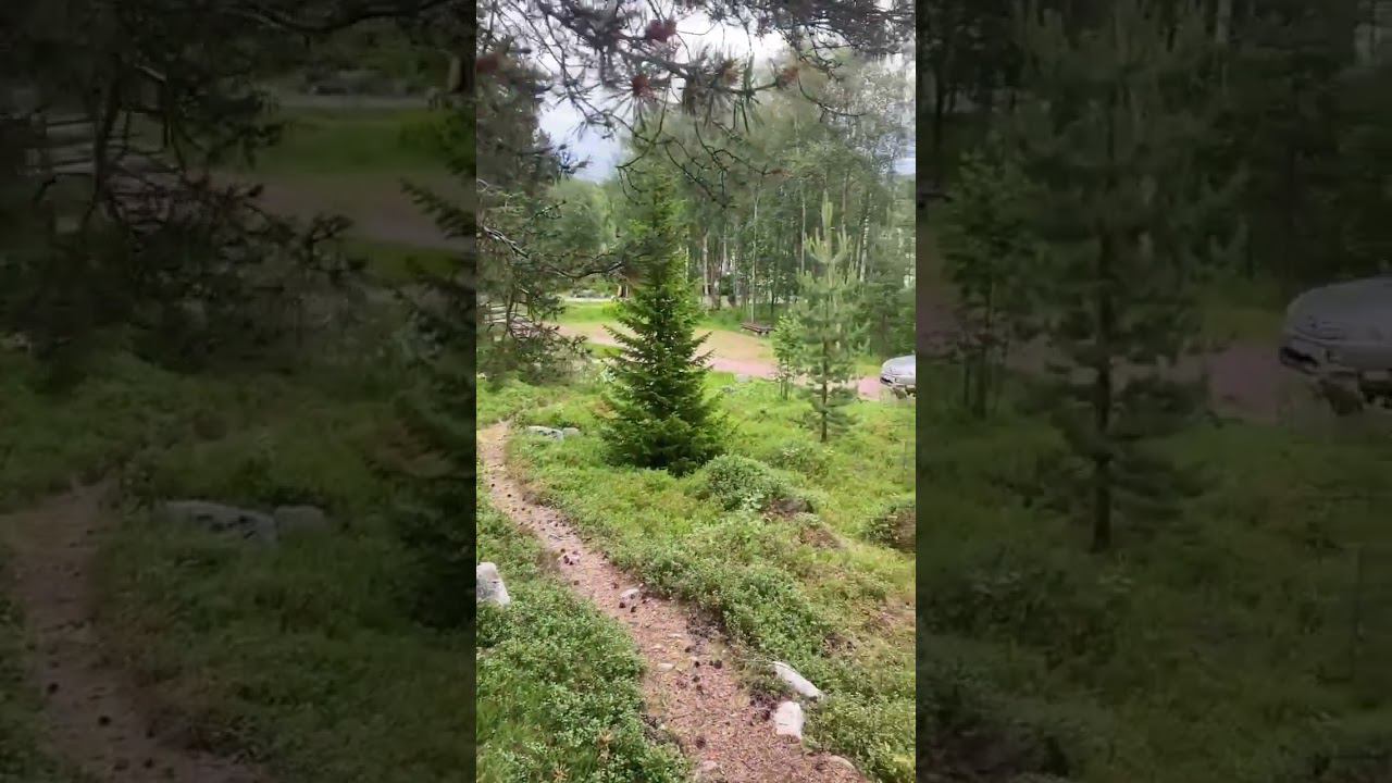 Варежка приколистка))) а природа какая красивая!