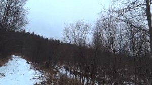 ? Охота на тетерева,на рябчика+мое мнение о ружье CZ mallard.