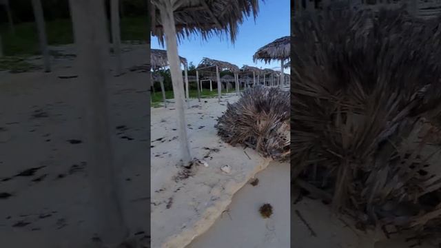 Memories Flamenco #cayococo  #cuba ?? Oct 9-16 '21  Last #morning #beach #walk  #travel #beachvibes