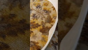 Сыромятная кожа