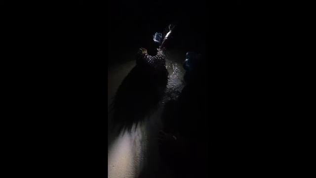 Ночью на пляже. Чавенг пляж. Рыбаки и сети. остров Самуи Таиланд.