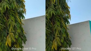 Google Pixel 8 Pro vs Xiaomi 13T Pro Camera Test