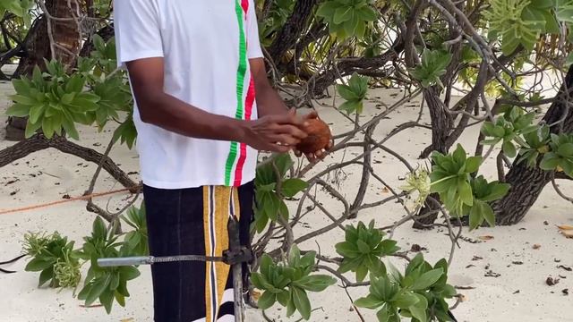Мальдивы 2020 (карантинные) часть II.Coco bodu hithi resort . Рум-тур пляжной виллы.