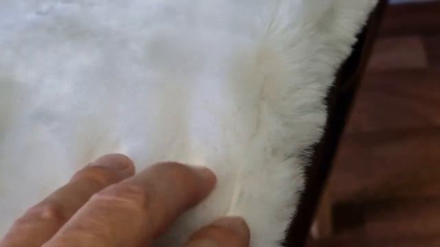 Белый квадрат из овчины на сиденье автомобиля смотреть онлайн