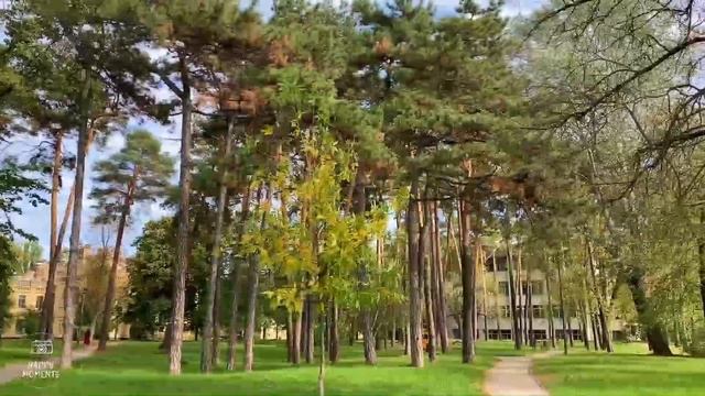 Чарующая Мелодия Золотой Осени ? Free Music - Gold Autumn смотреть онлайн