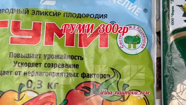 Корневая подкормка роз. Сад Ирины Наумовой.