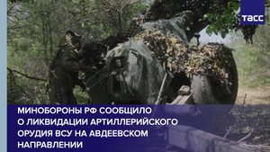 Минобороны РФ сообщило о ликвидации артиллерийского орудия ВСУ на авдеевском направлении
